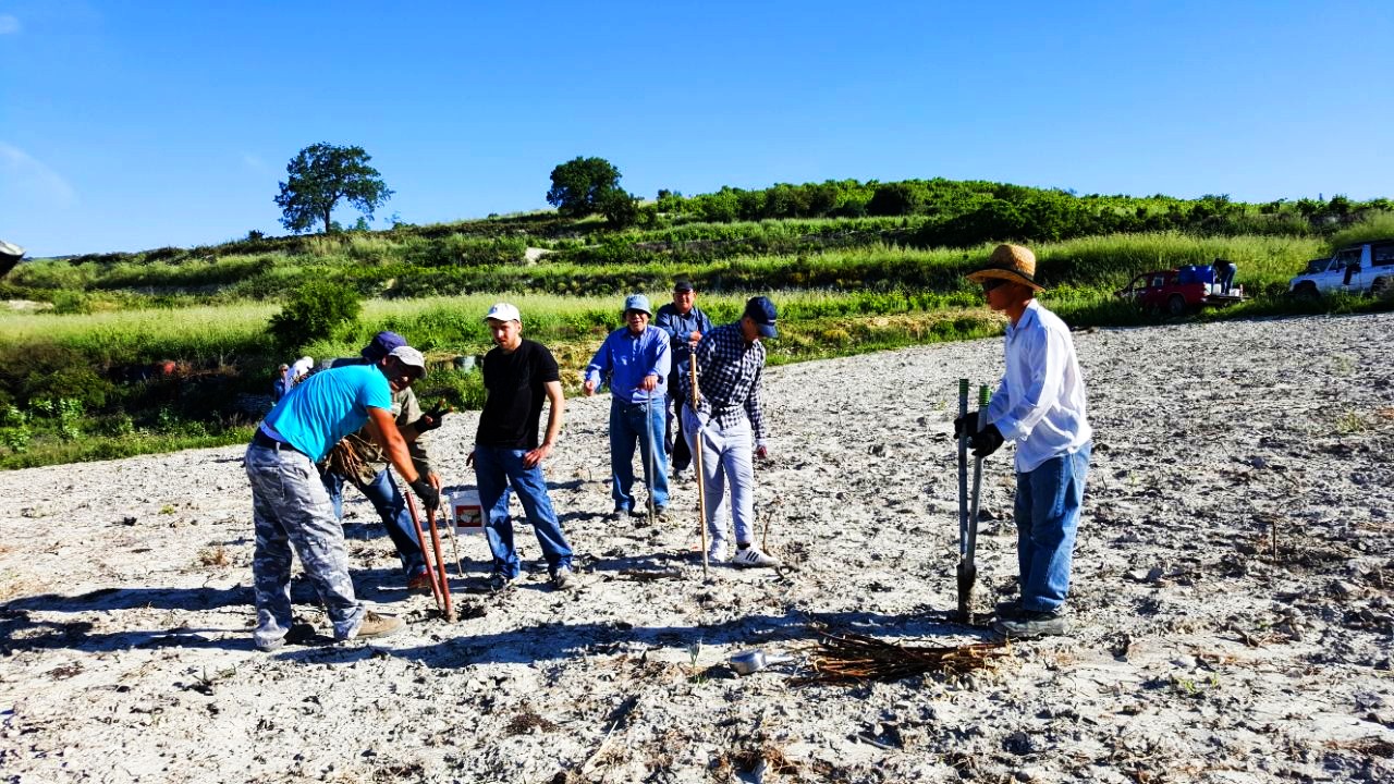 ORGANIZED TOUR IN